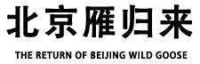北京雁归来环保科技有限公司